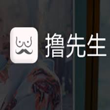 撸先生